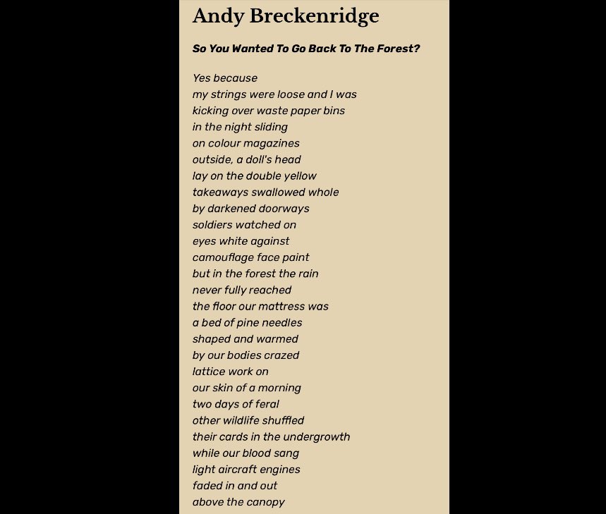 @TopTweetTuesday @LouLouMach Hope you’re enjoying all the words today, Lou. Here’s few more. As published in issue 10 of Flights by the wonder @FoD_Press