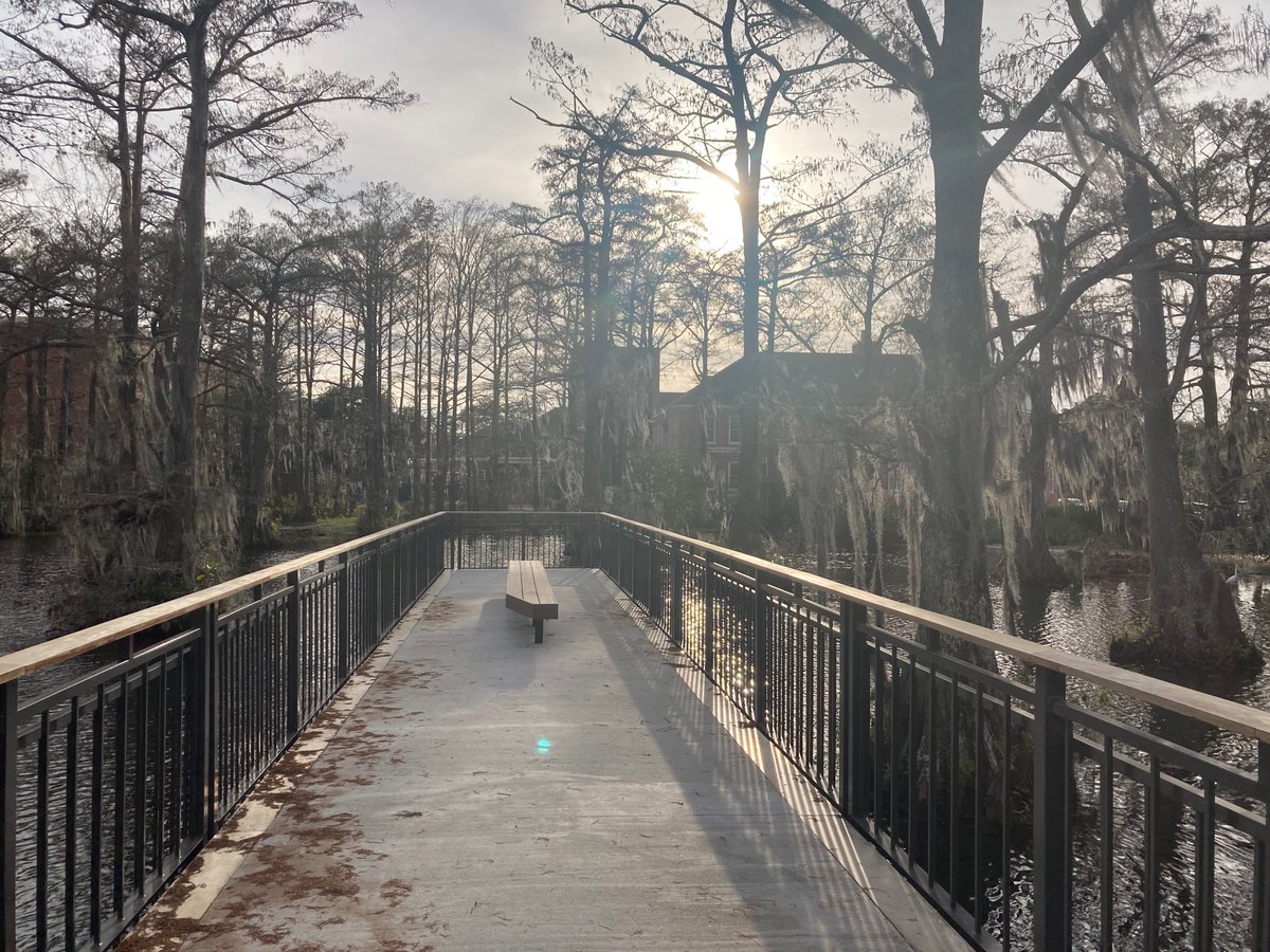 Nicholas Kooyers tweet media