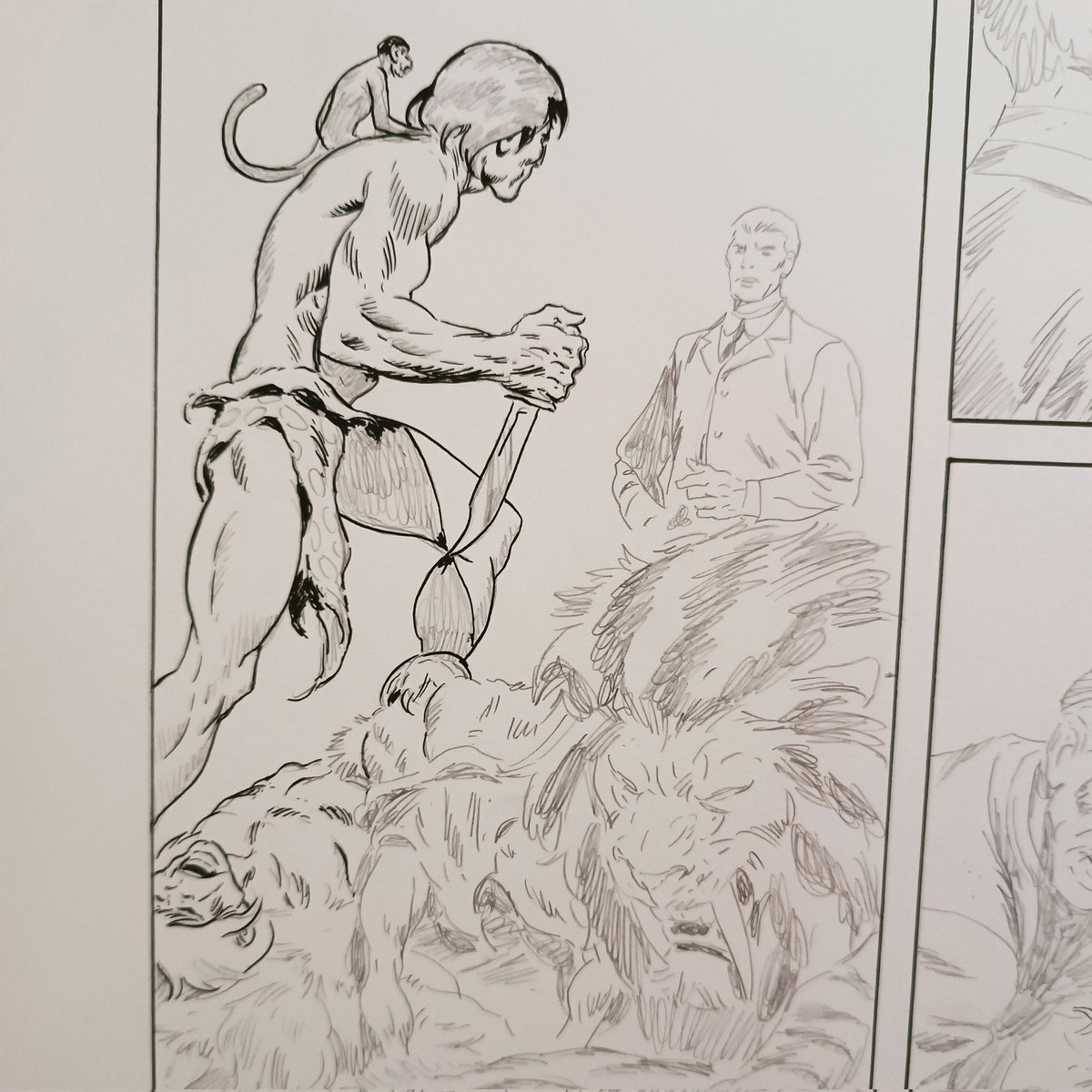 WIP. Inking episode #3853 of 'The New Adventures of Tarzan.' #benitogallego #tarzan #edgarriceburroughs #roythomas #jungle #africa #action #junglegirl #apeman #hero #comics #comicart #webcomic #fantasy #danger #threat #morlocks #fight #adventure #sabretooth #sequentialart #lion