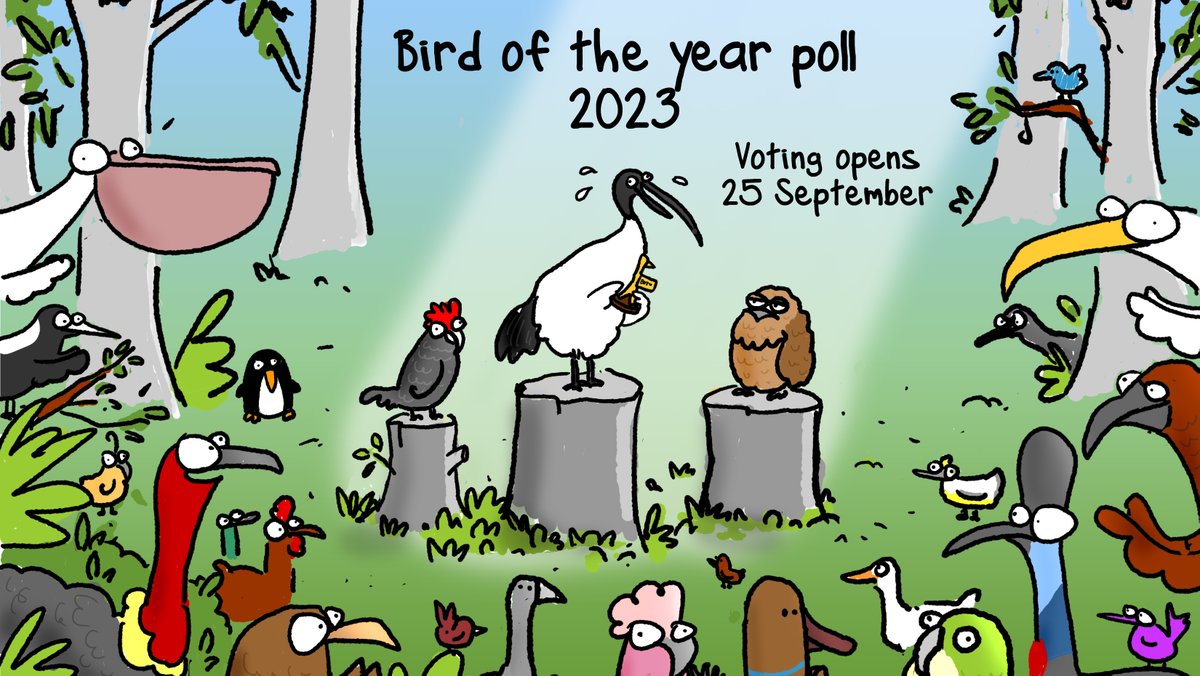 Bird lovers – the 2023 Australian Bird of the Year competition starts NOW! But who will take the crown for the #BirdoftheYear for 2023? You decide! Voting is open from today until October 6, and you can cast your votes at bit.ly/3PPQcbT Art by @firstdogonthemoon