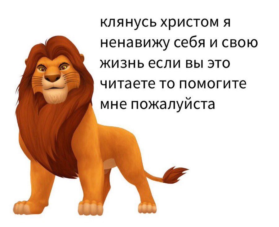 enosaur's tweet photo. только оправилась от удаления левого зуба мудрости, а через два дня уже второй удалять))) https://t.co/Jo4nk5zdEZ