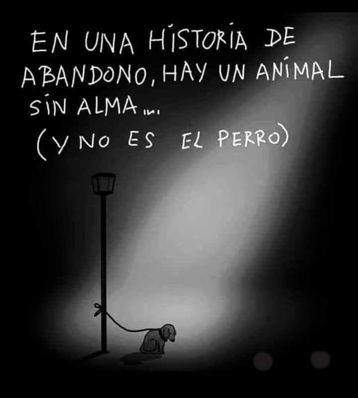 Jamas seas la causa por la cual un animal tiemble de miedo, grite de dolor, pase hambre y frio... seamos mas empáticos toda vida VALE 🥺❤️‍🩹

#NoAlAbandonoDeMascotas 
#AdoptaConResponsabilidad