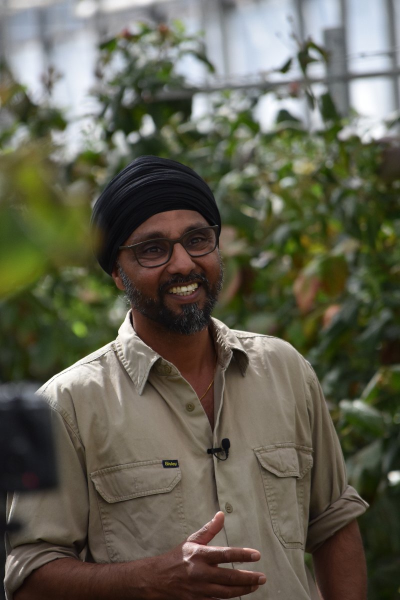 100 faces in 100 places: We want to show the breadth and diversity of modern agriculture,showcasing the True Faces, Real Stories &amp; Authentic Experiences in Agriculture.Recently Oli was on the Nth Coast of NSW for a project &amp; he met Parvinder, a berry farmer 🫐#HumansofAgriculture