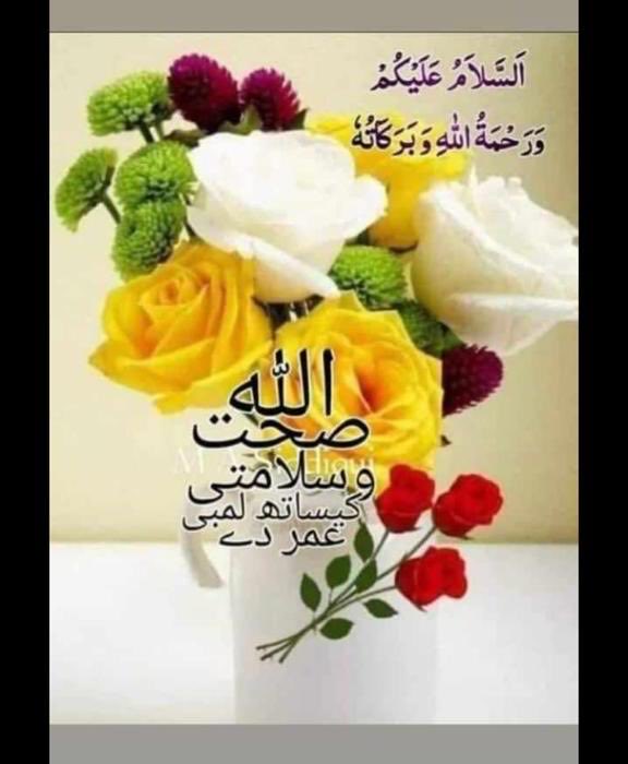 Malik Farook (@malikfaroo41892) on Twitter photo 