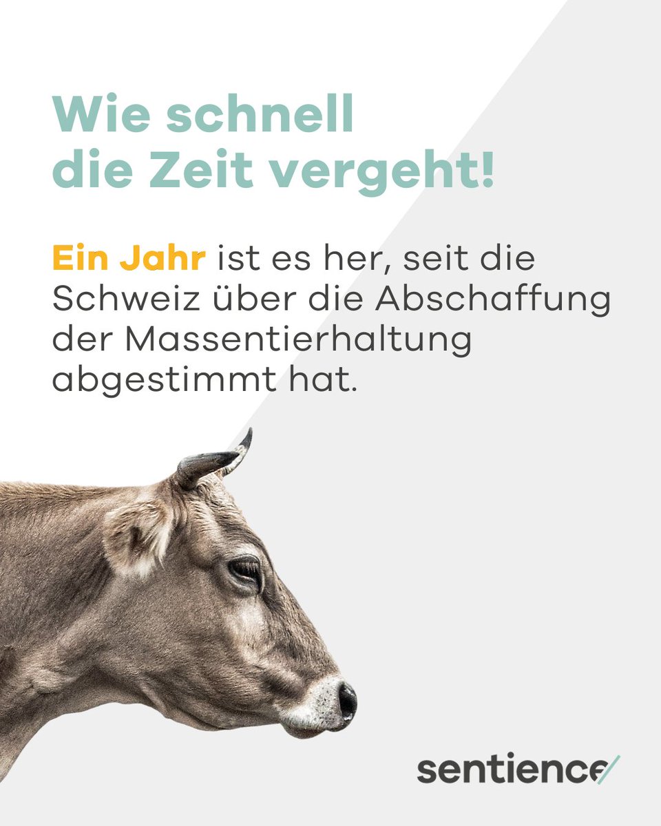 Sentience – Politik für Tiere tweet media