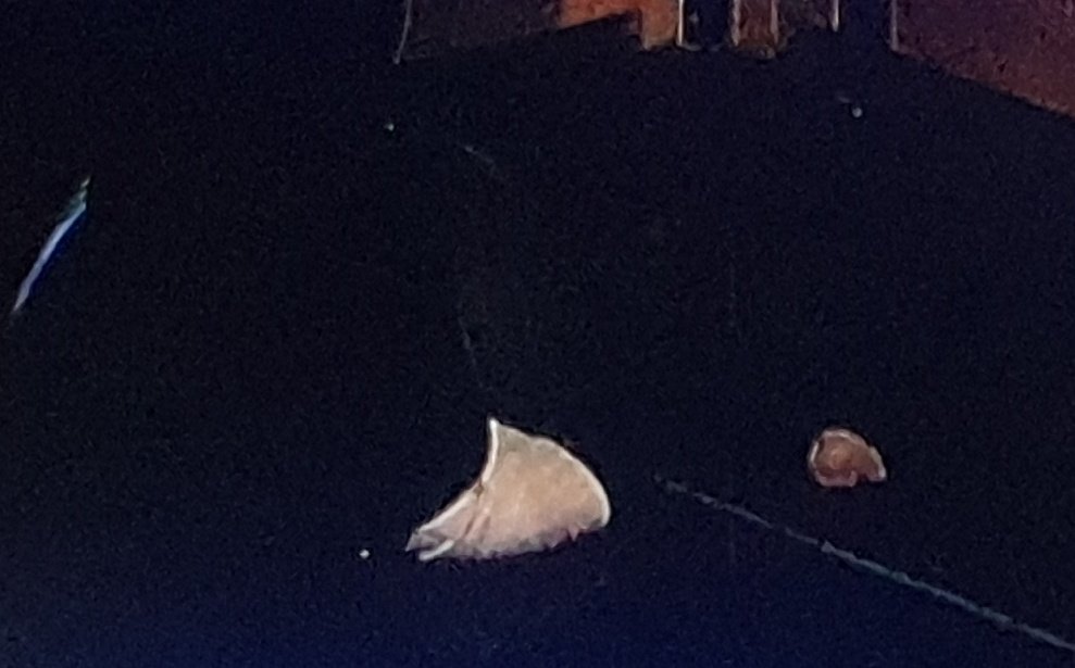 SergiMalalts's tweet image. Hay 472684 cámaras y se creen que nos la van a pegar? 🤣🤣

 #GHVIP23S #GHVIP24S  #GHVIPGala2 #GHVIPGala3
#GHVIPDBT2