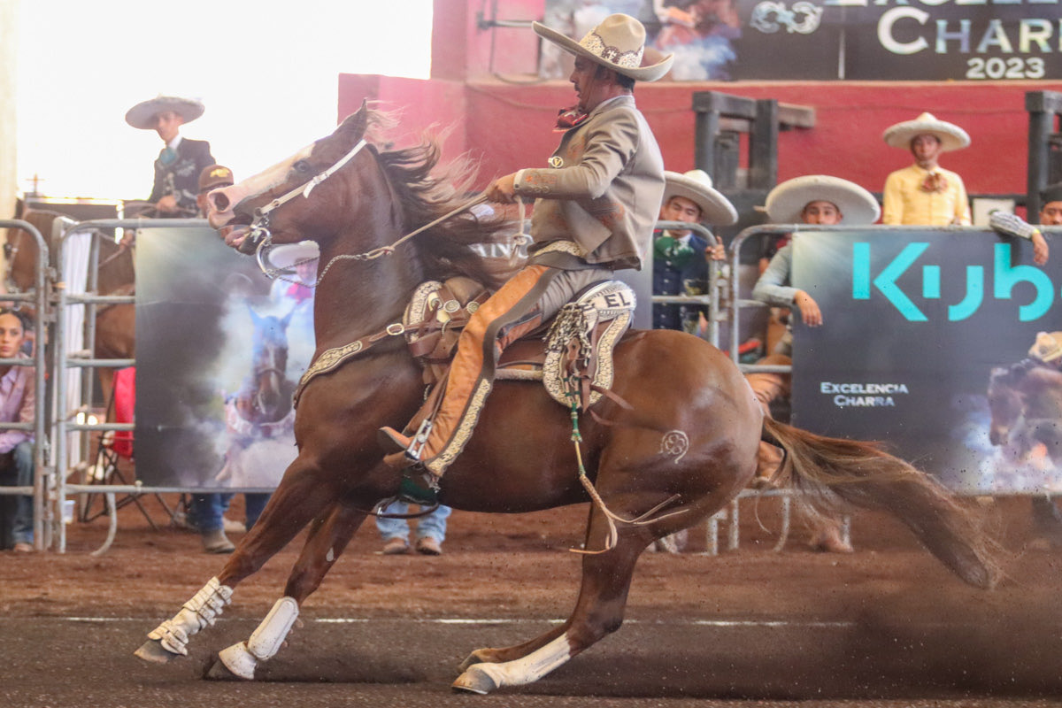 Circuito Excelencia Charra tweet media