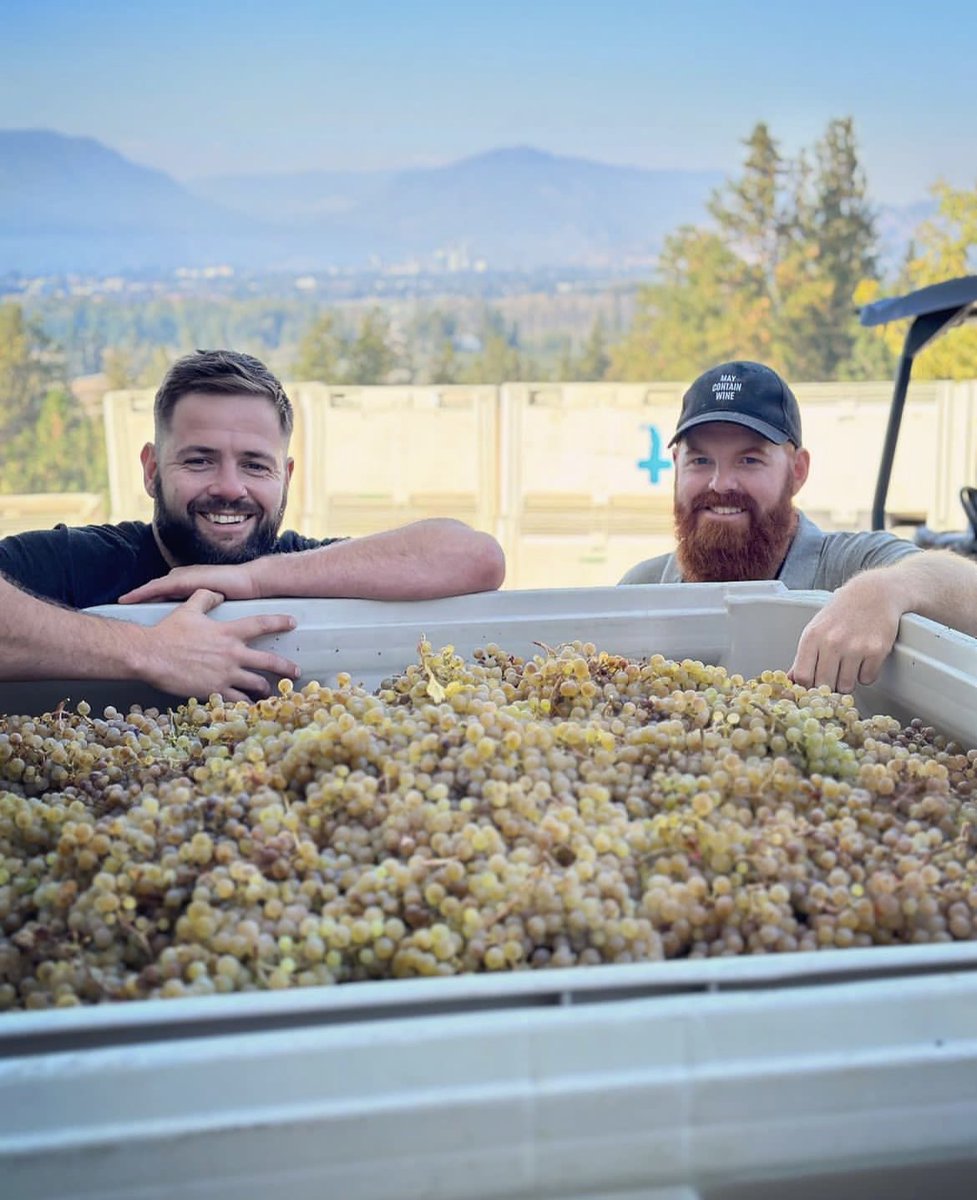 The Wine Syndicate (@winesyndicate) on Twitter photo <a href="/tantaluswine/">Tantalus Vineyards</a> wraps up harvest 2023 with some gorgeous old vines Riesling!
#tantalus #tantaluswine #bcwine #eastkelownaslopes #riesling #oldvines #drinklocal #supportlocal #sustainablefarming #harvest2023 <a href="/tantaluswine/">Tantalus Vineyards</a> wraps up harvest 2023 with some gorgeous old vines Riesling!
#tantalus #tantaluswine #bcwine #eastkelownaslopes #riesling #oldvines #drinklocal #supportlocal #sustainablefarming #harvest2023