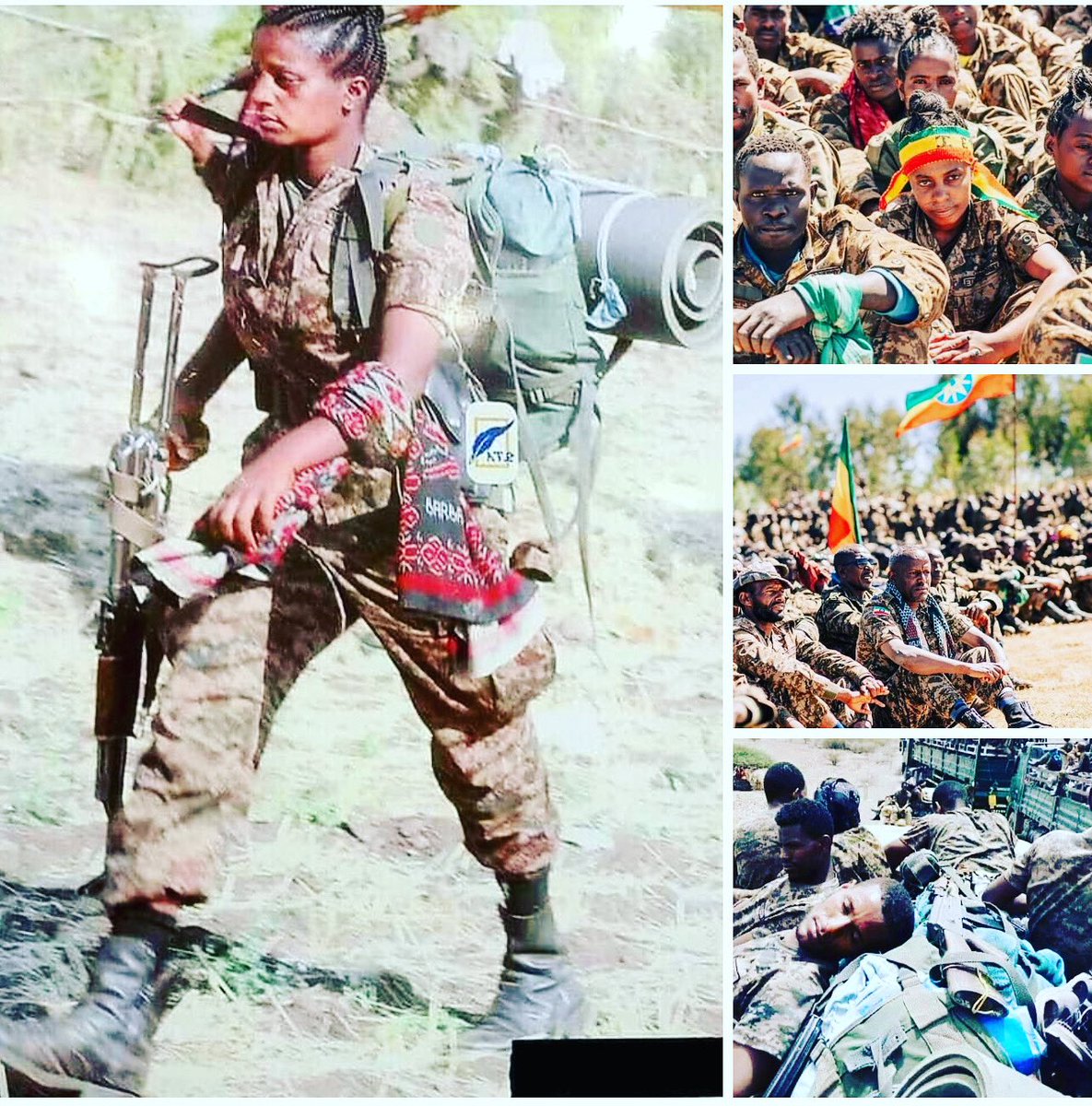 NatnaelMekonne7's tweet image. የኢትዮጵያ መከላከያ ሰራዊት! 

አዎ! ውዷ ሀገራችን ኢትዮጵያ በዚህ ዘመን መከራዋ በዝቷል። ኑሮ ተወዷል ፣ ሰላም ጠፍቷል ፣ የንፁሃን ልጆቿ ነብስ በየቦታው በከንቱ በየቀኑ ይቀጠፋል!! አዎ!  እናታችንን ኢትዮጵያን መንጋ ፣ ዘረኛ እና አውሬ ታጣቂ…