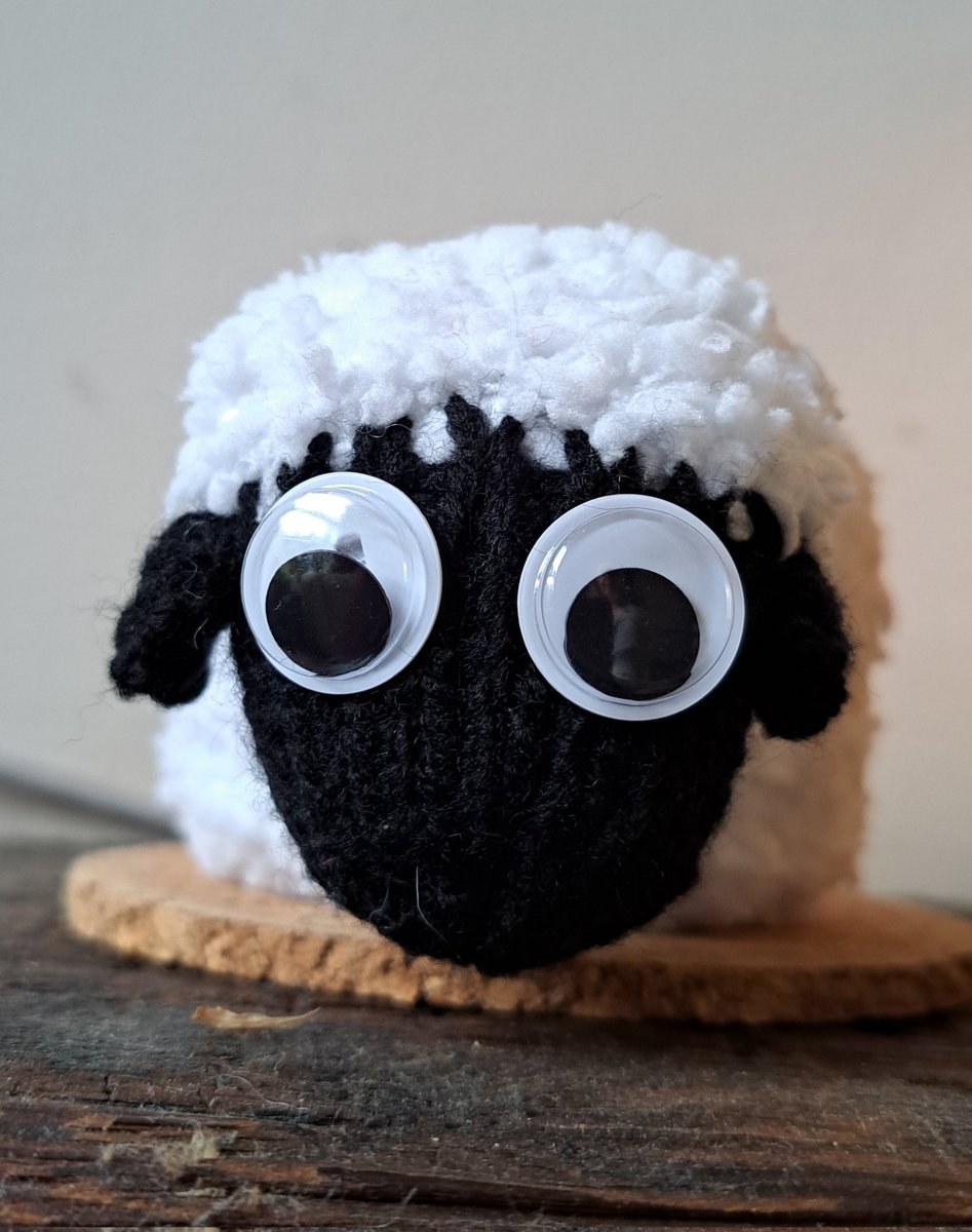 conkerscrafts's tweet image. Been trying out some new designs, so here's my little sheep chocolate orange cover 
#UKCraftersHour #CraftHour #HandmadeHour #CraftBizParty #etsy 

conkerscraftsstore.etsy.com/listing/155972…