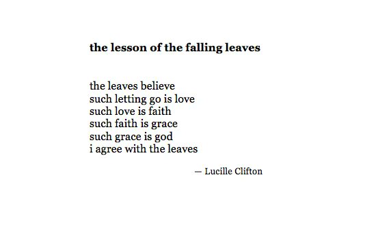 Dr. Maya C. Popa tweet media