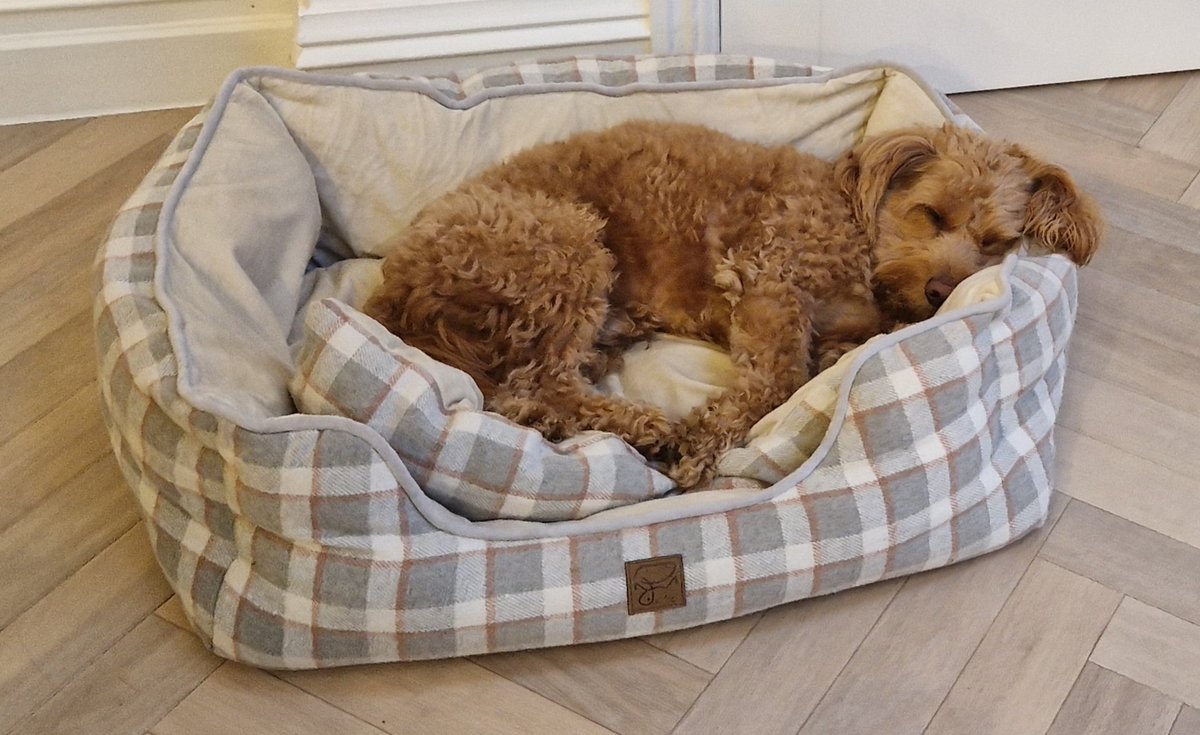 natalie chadwick tweet media