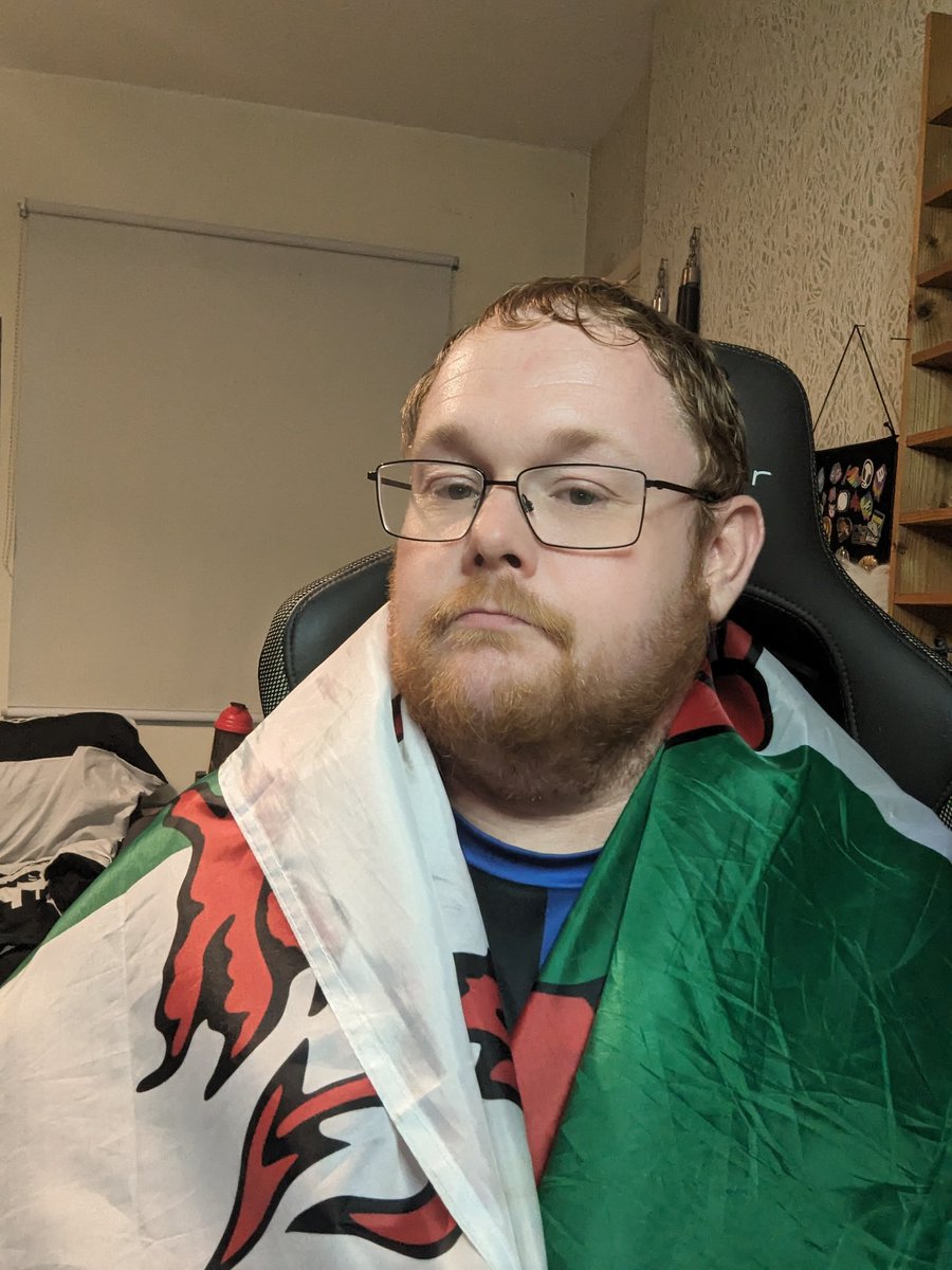 The_GeekForge's tweet photo. Who's ready for the game? #walesvsaus https://t.co/R2rtXZYOfj