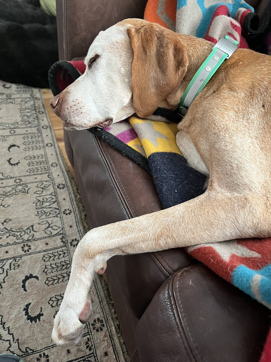 @nanfischerauthor tweet media