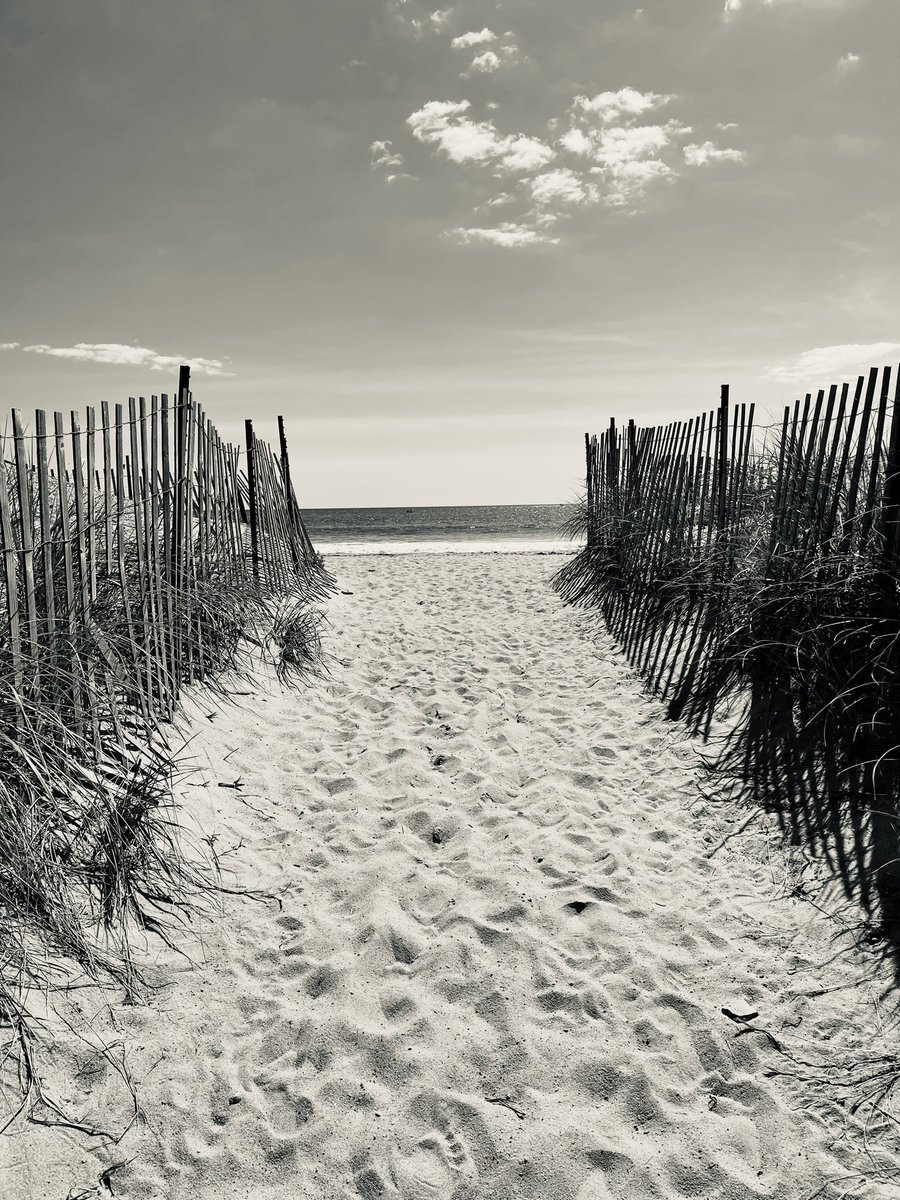 Mandee_75's tweet photo. The path to my happy place! ❤️ https://t.co/5w8ZpnSGhZ