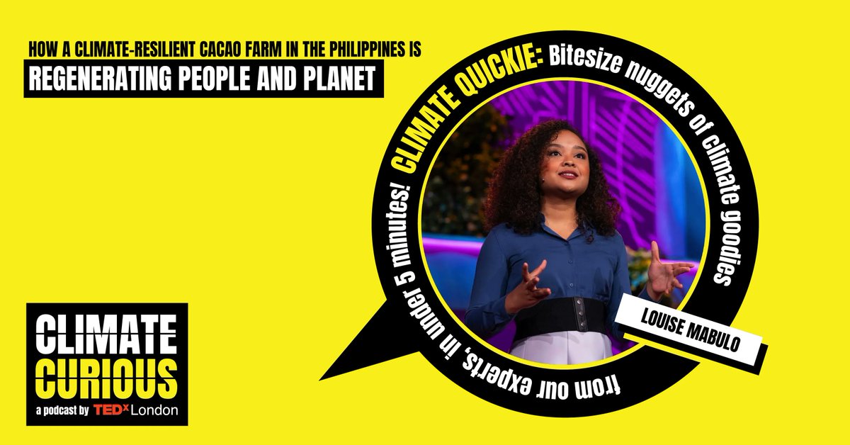 TEDxLondon tweet media