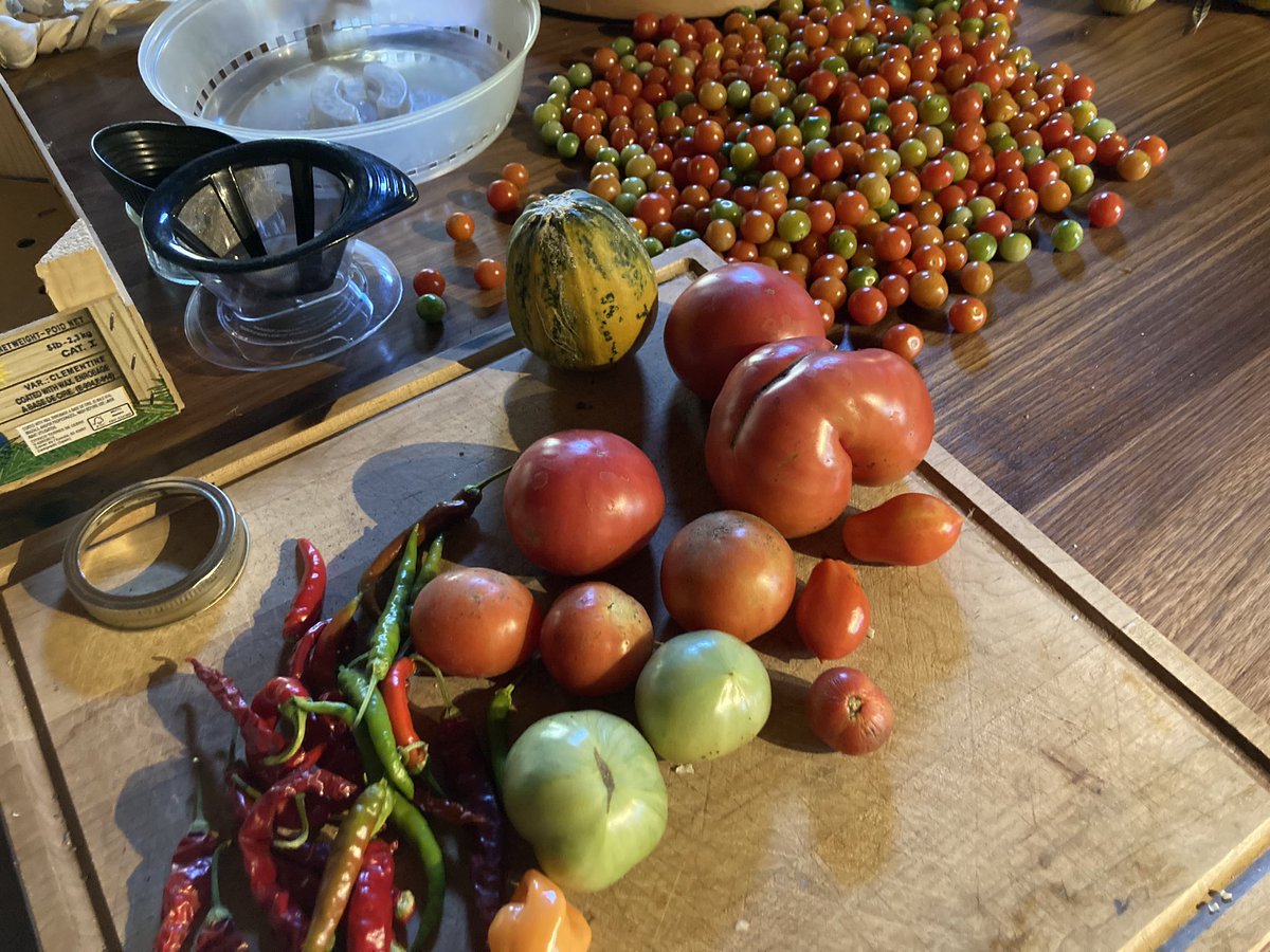 Carmine Minutillo tweet media