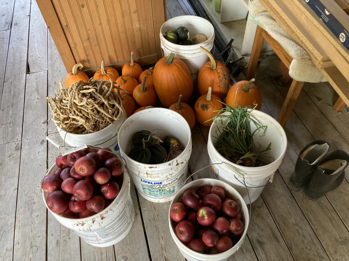 Carmine Minutillo tweet media