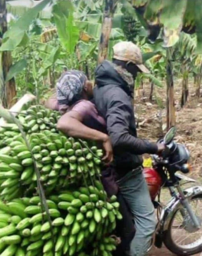 bamwinejnr's tweet image. Museveni favors Banyankore 
Banyankore: