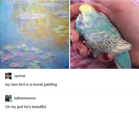WholesomeMeme tweet picture