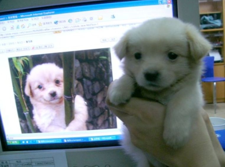 [archer] tweet media