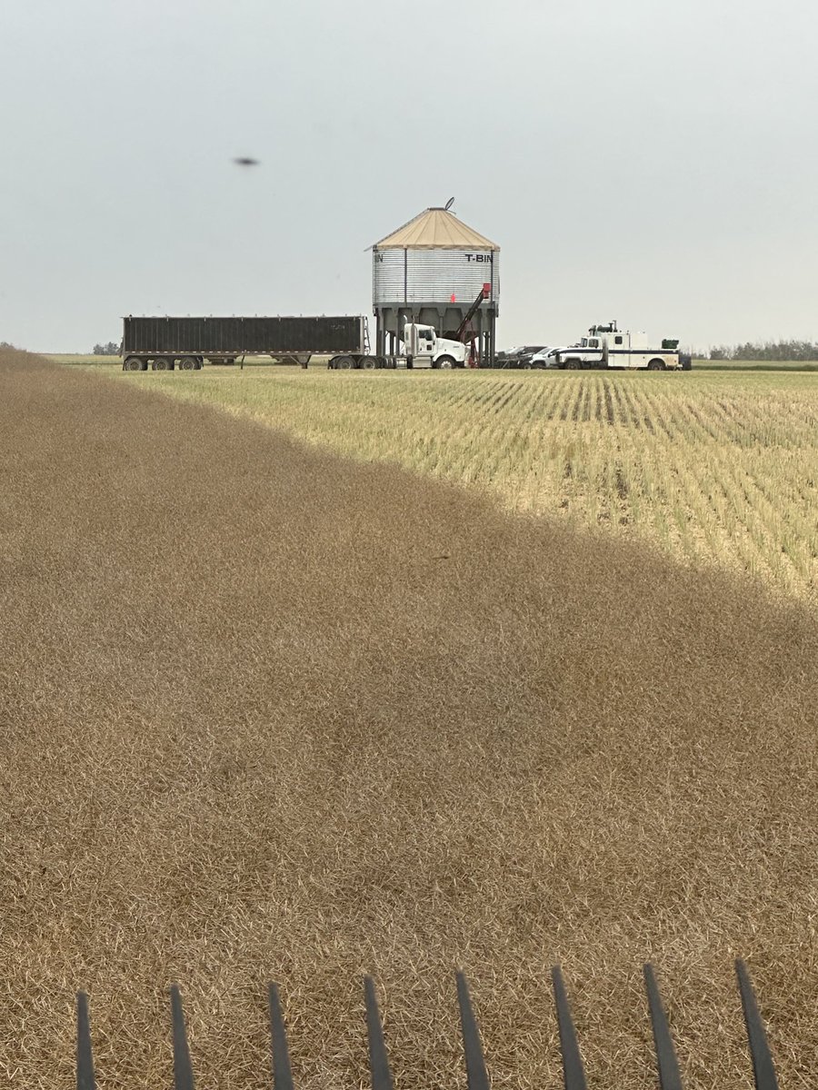 Did a demo of the T bin. A collapsible, easily transportable 10,000 bu bin. It worked great. #@Dave Kosior #@PatBeaujot