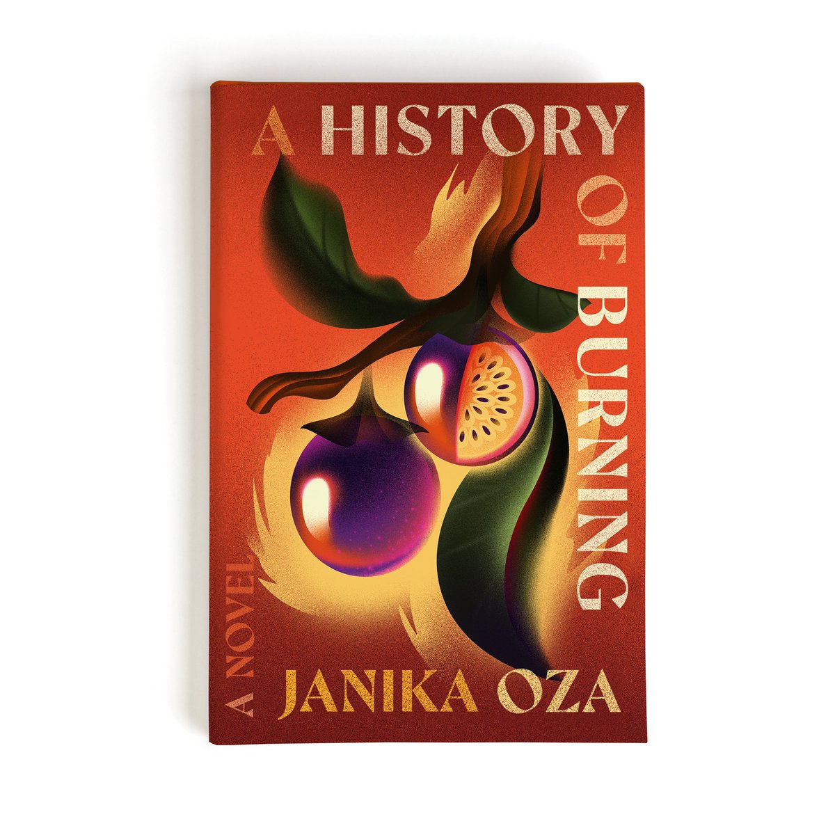 A sweeping saga of displacement and disruption — but never dissolution — for 4 generations of an Indo-Ugandan family that spans almost 100 years. It sounds like an unwieldy read; it’s not. The writing invites and envelops. A remarkable debut from @JanikaOza . ⭐️⭐️⭐️⭐️⭐️