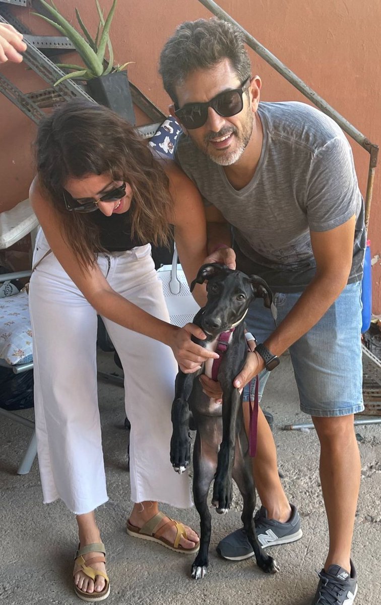 Popeye con sus padres. Gracias por adoptar. #APEA #Benaguasil #PerrosDeX #DogsOfX #adopcionresponsable #AdoptaNoCompres