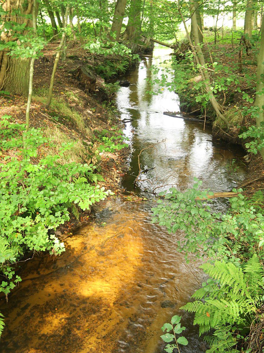 Een paar dagen op de Veluwe