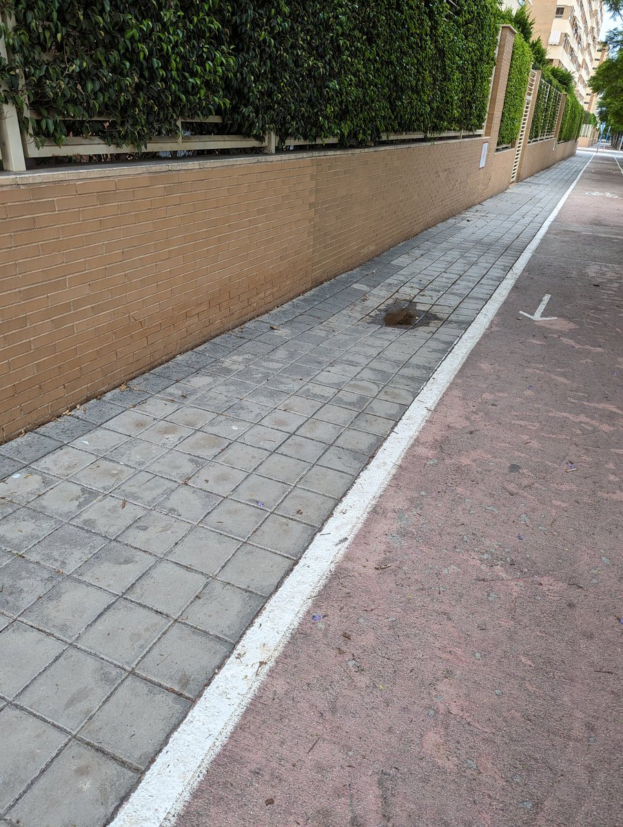 alejandryto's tweet photo. @saicalicante una muestra del estado de las aceras en el PAU 1, en concreto en Médico Ricardo Ferre entre las calles Matrona Maria de Gracia y Medico Luis Rivera. Una vergüenza un barrio tan nuevo y con estas aceras @BarcalaSierra @CompromisALC @eualacant @informacion_es https://t.co/3o8lV8b1Q7