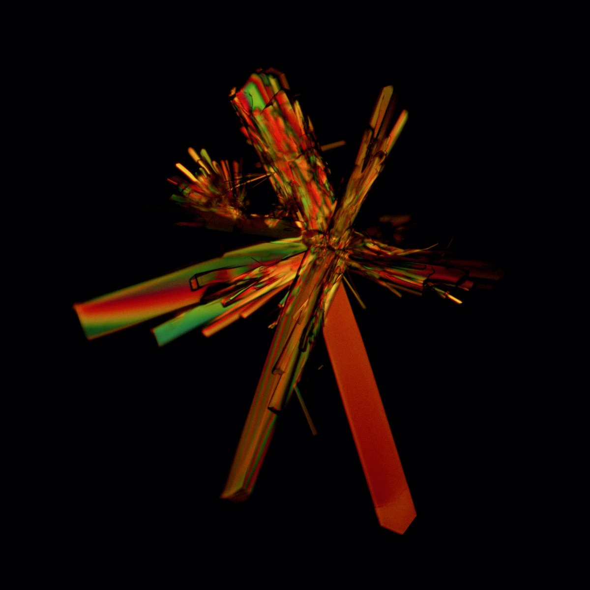 ivan_amato's tweet image. Two-amino-acid Snow. Two amino acids, glutamine and alanine, recrystallized from solution onto a microscope slide into discrete crystal formations. One reminded me of a drum major. Another grouping took on an entomological vibe. #scicomm #micrographs