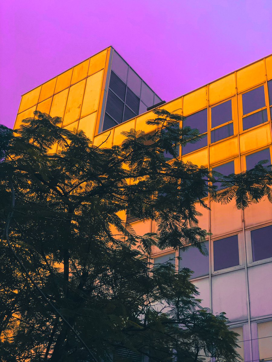 oxygen_beatz's tweet image. Been learning some adobe lightroom🫶🏾 wyt???