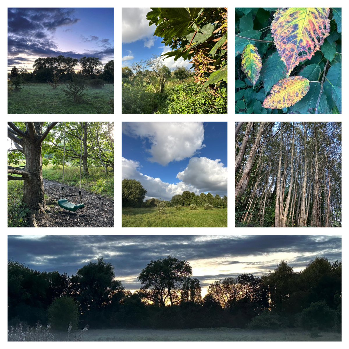 Autumn arrived this week in <a href="/ryebankfields/">Save RyeBank Fields 🍃💚🍃</a> #Manchester
#nature #outdoors #mindfulness #wildflowerhour <a href="/wildflower_hour/">wildflowerhour</a> #SevenOnSunday #mentalhealth #health
The fields are under threat from property developers-please follow <a href="/ryebankfields/">Save RyeBank Fields 🍃💚🍃</a> &amp; support saving them. 🐝