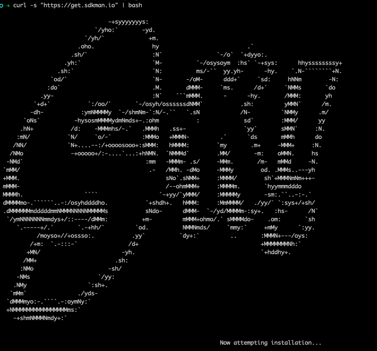 kvarel4's tweet image. It&apos;s 2023, and I still find arts like this ultra cool. 🥲 #sdkman