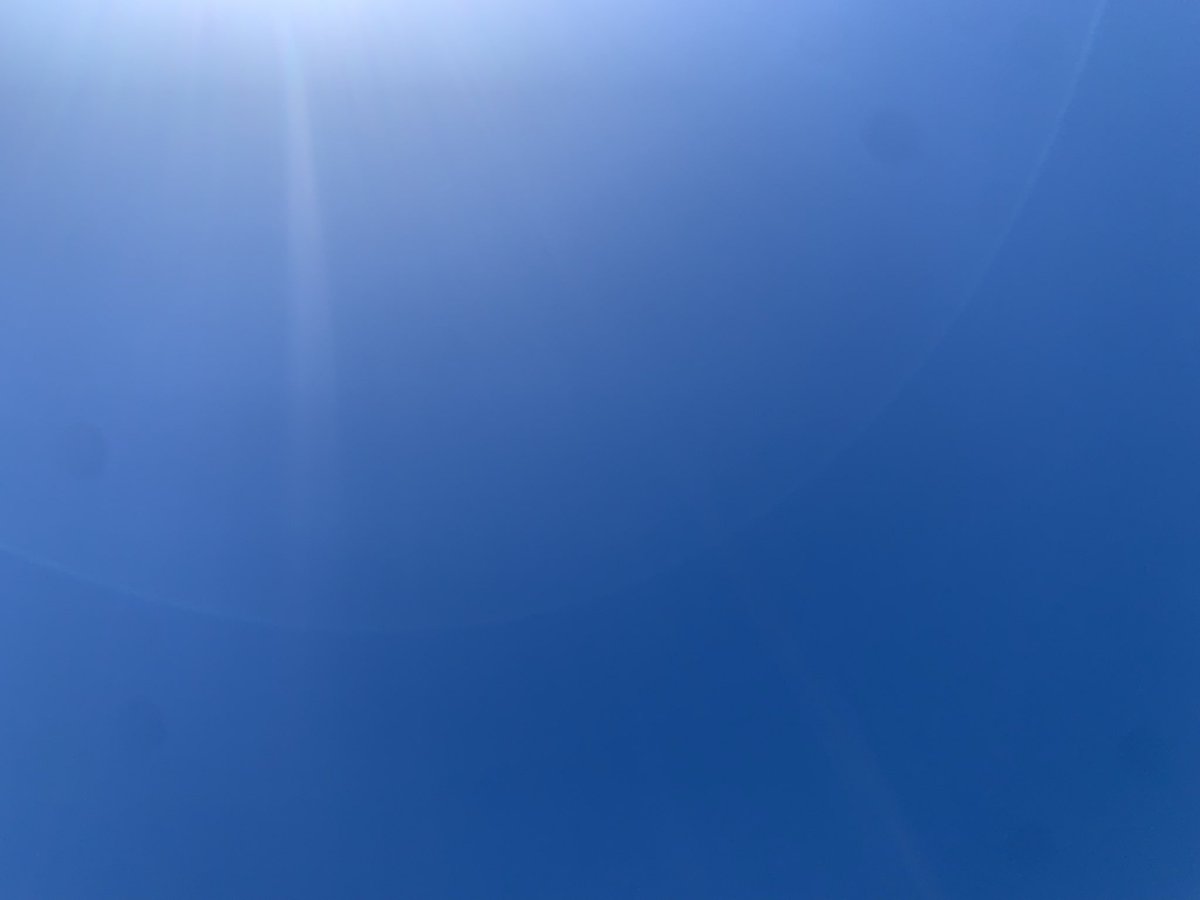 needsmorechalk's tweet photo. View from the pool. Perfect PHX weather today! https://t.co/Kt9BfJaupy