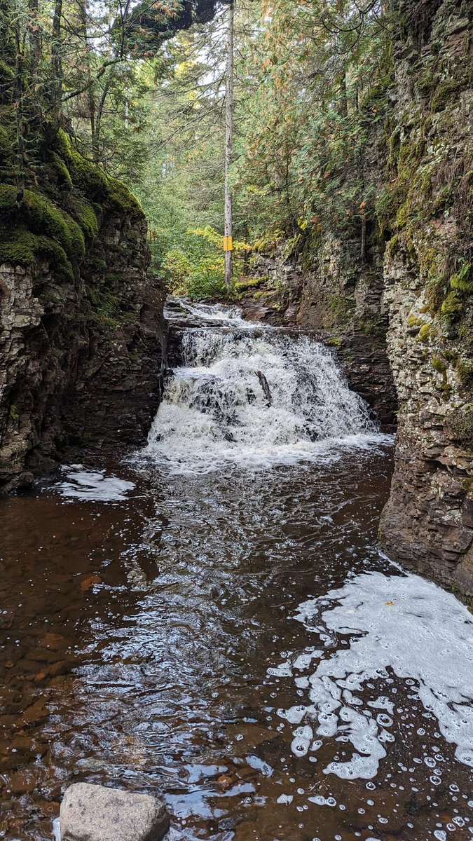 SkiUMahDano's tweet photo. At one of my favourite trout streams on the north shore this morning. A few strikes but nothing in the net. A lovely morning though on #gitcheegumee https://t.co/thERSbK4Tf