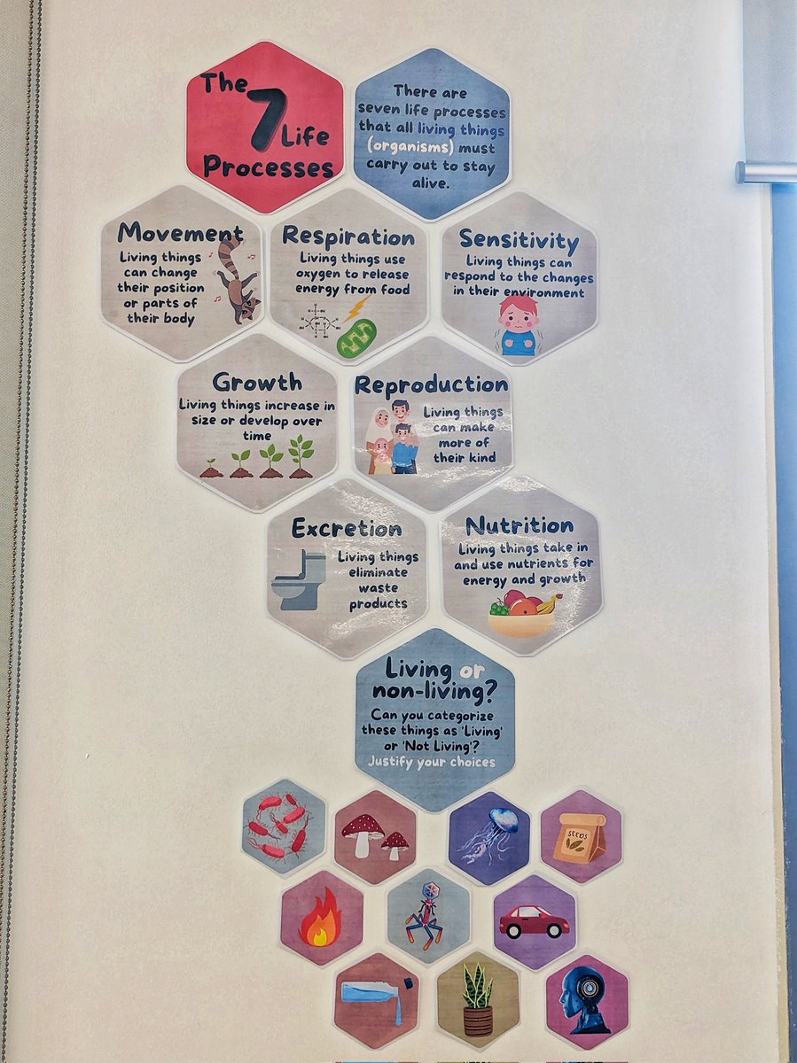 aniqapirzada's tweet image. Newest addition to my classroom displays. ✌️ #chatbiology #ks3science #teacherlife