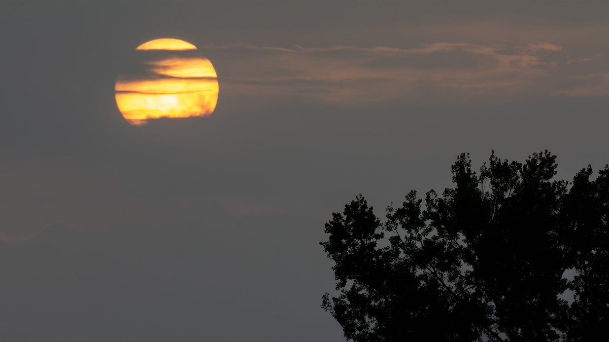 Marko Bogdanović tweet media