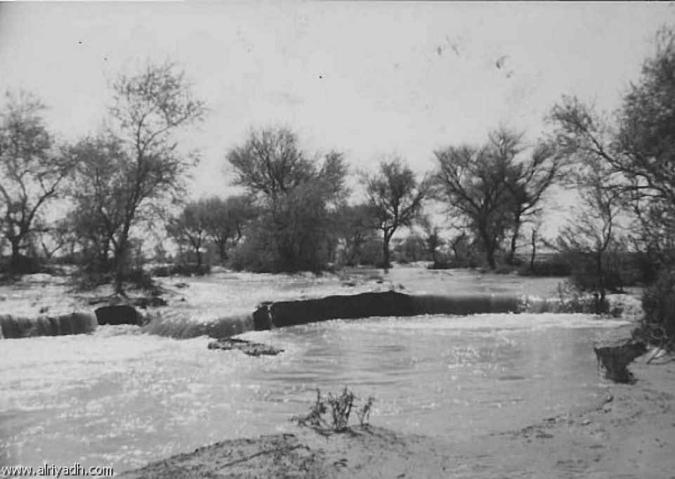 ‏﮼الأعرابي القديم . tweet media