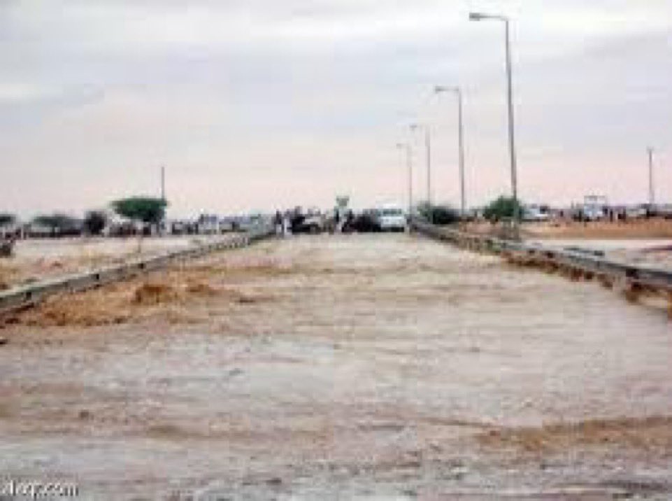 ‏﮼الأعرابي القديم . tweet media