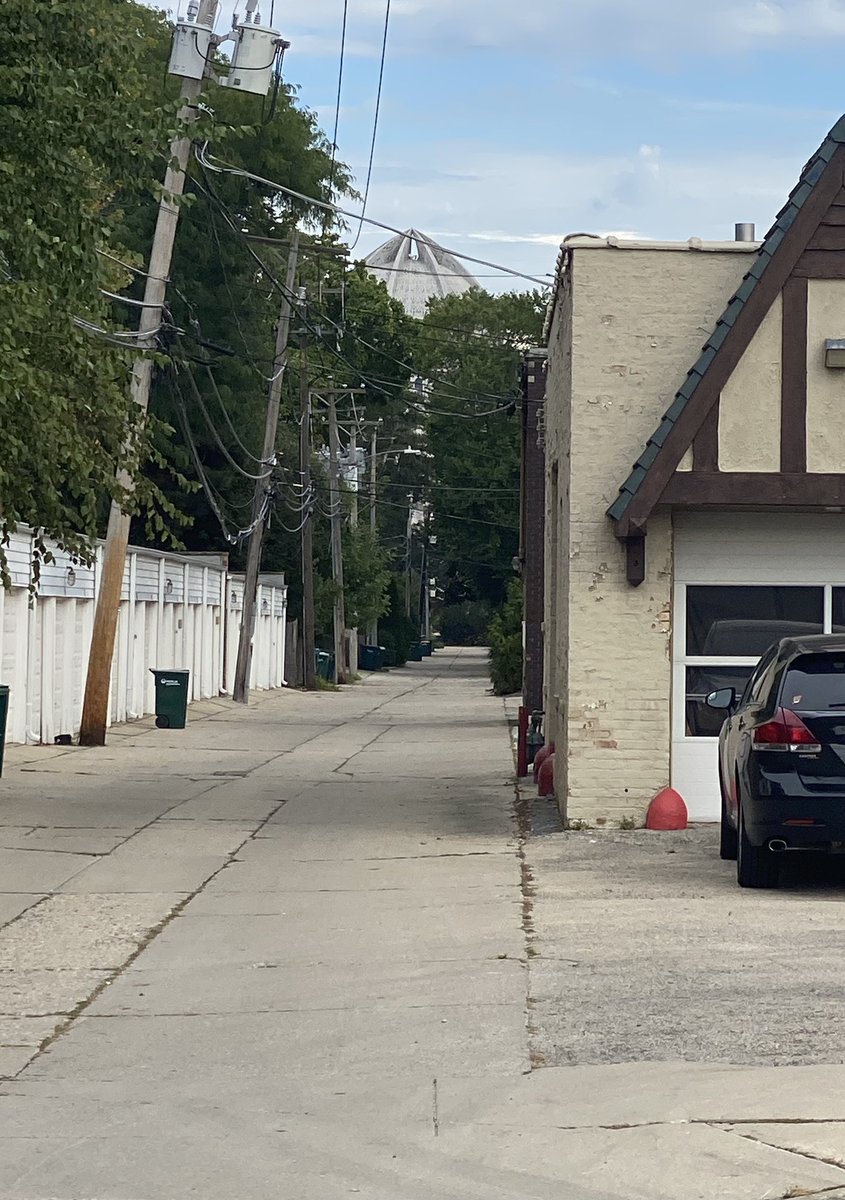 William Knowles tweet media