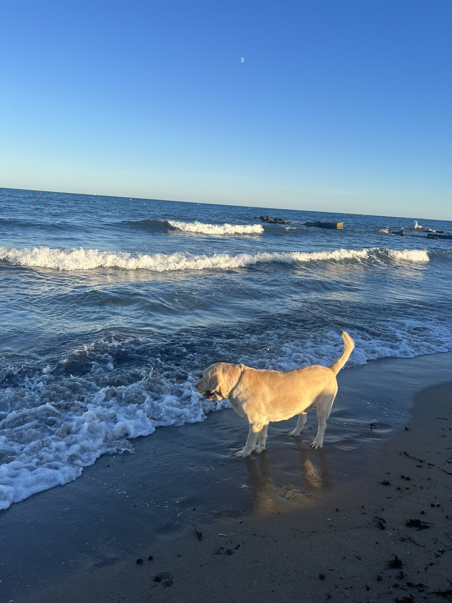iriamollp's tweet photo. La primera vez que va a la playa mi bebe https://t.co/rKO6cHvIa2
