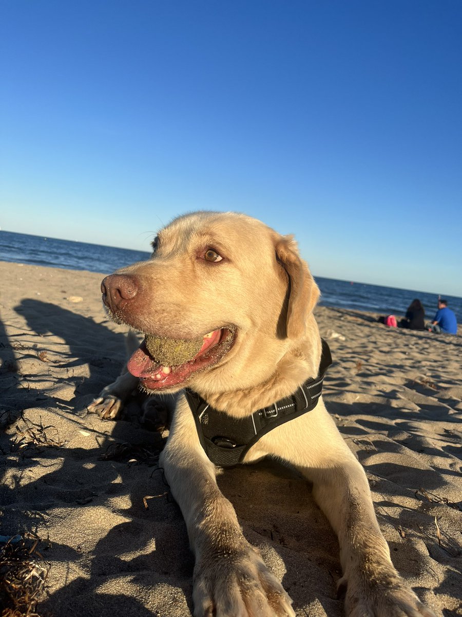 iriamollp's tweet photo. La primera vez que va a la playa mi bebe https://t.co/rKO6cHvIa2