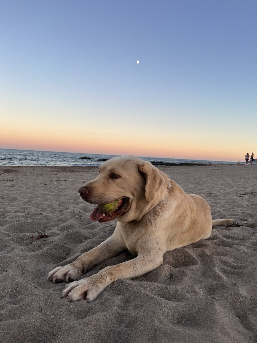 iriamollp's tweet photo. La primera vez que va a la playa mi bebe https://t.co/rKO6cHvIa2