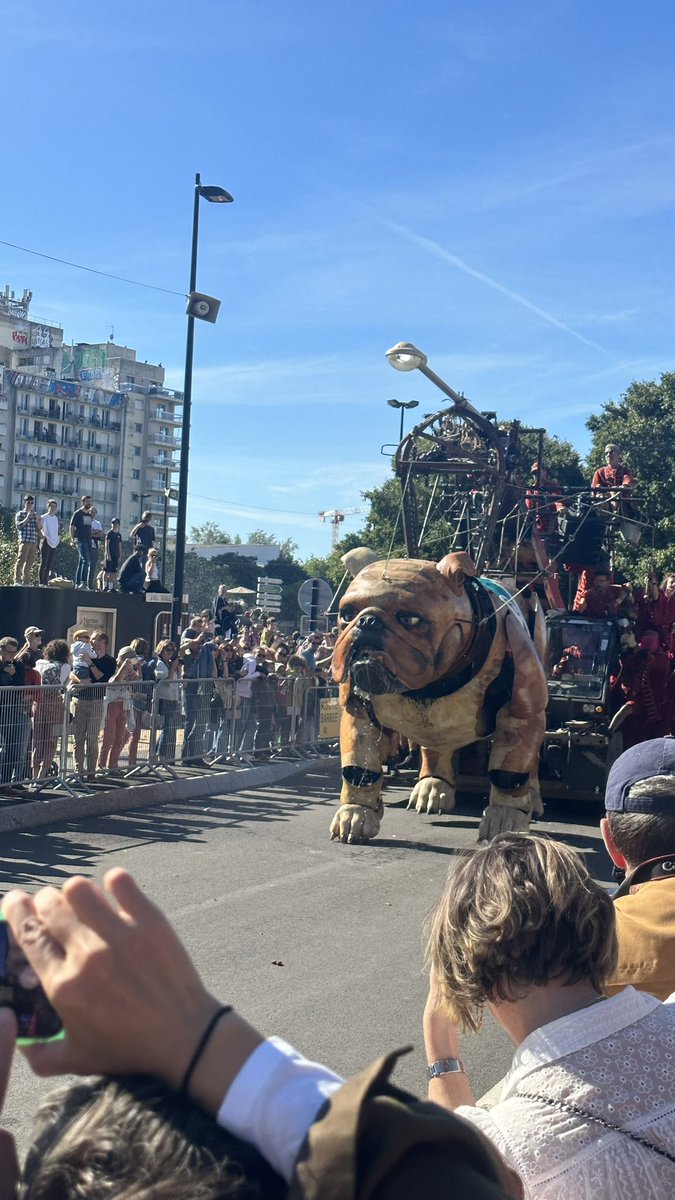 Diva_Ptl's tweet photo. Un dimanche à Nantes ☺️
#Bullmachin #Xolo
Course de Chiens 🐕 https://t.co/dynEP1xwZh