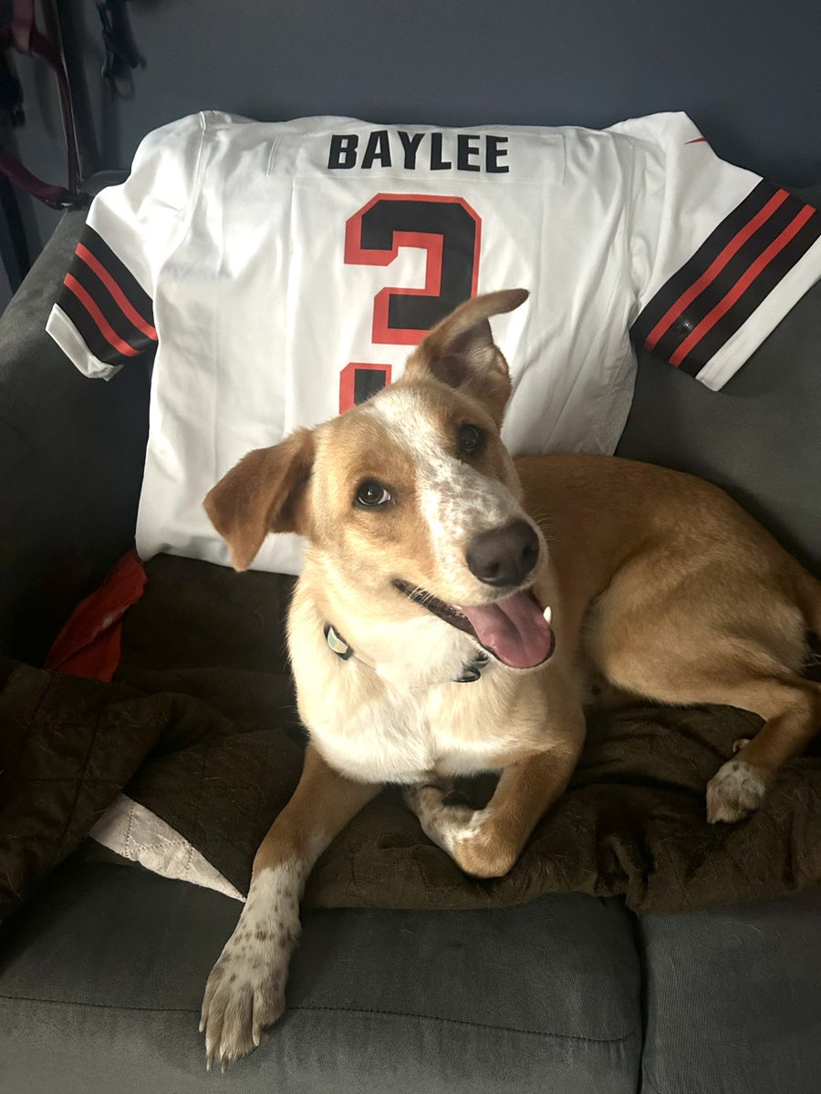 Kale B. Betting tweet media