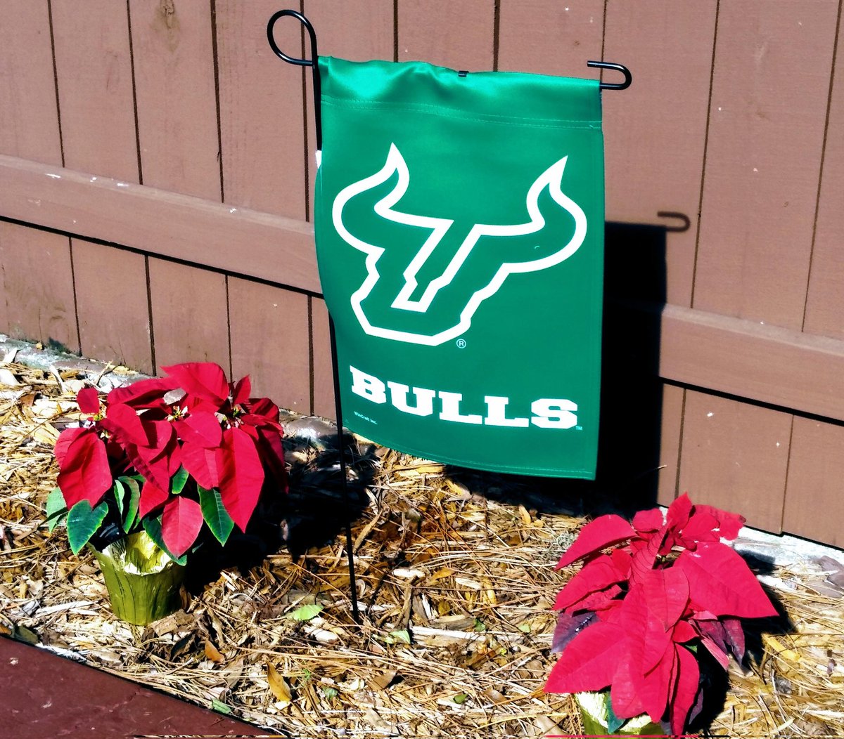 I'm more of a take each game one at a time kinda guy, but can't lie I did look up the AAC Bowl tie ins and schedule earlier today!  Go Bulls! <a href="/USFFootball/">USF Football</a> <a href="/USFHerd/">USF T w i t t e r Herd 🤘</a>