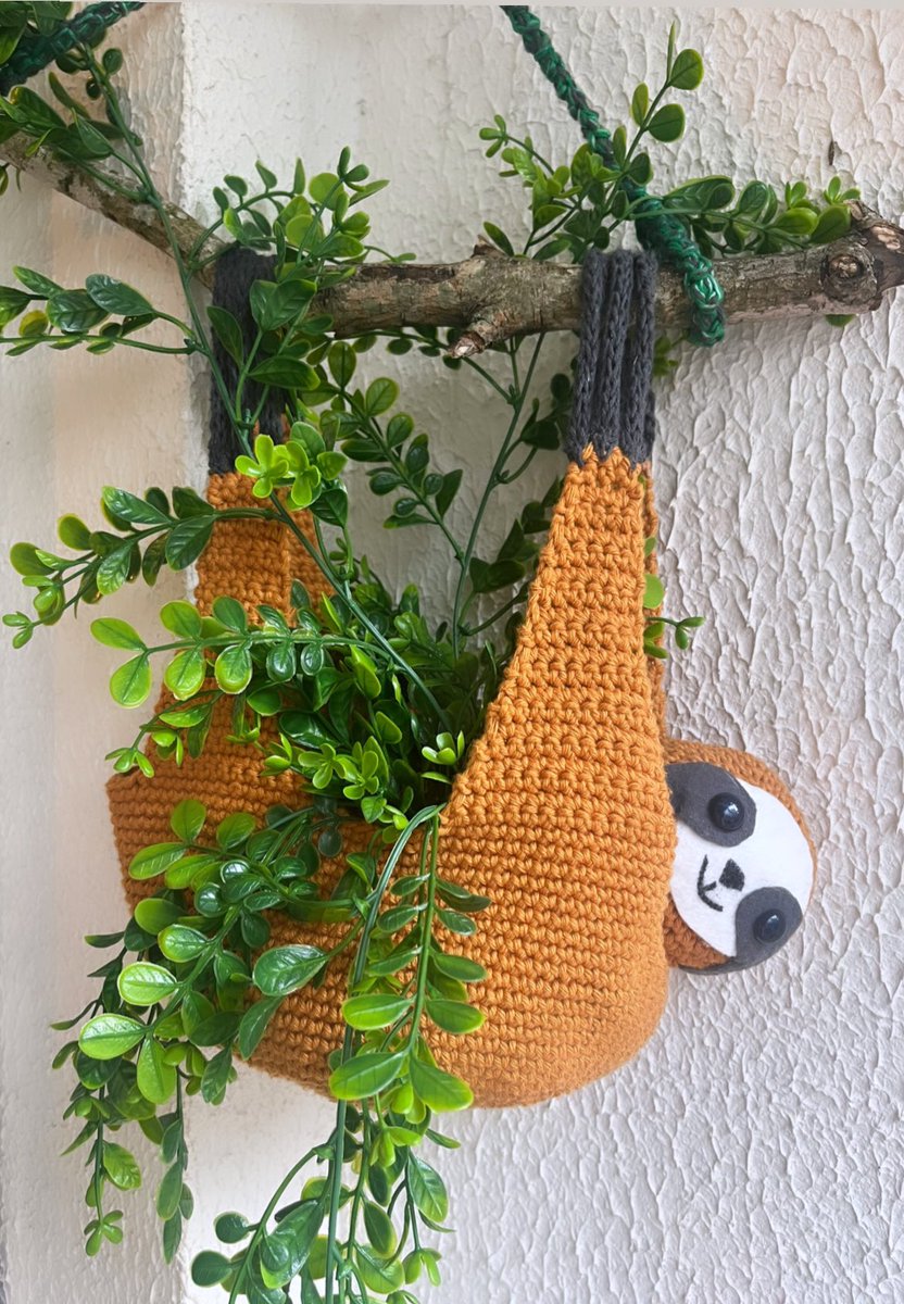 Bic Müller tweet media