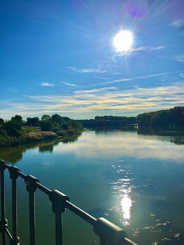 seco_serra's tweet photo. Sur le Pont d’Avignon https://t.co/TD52pFpzFl