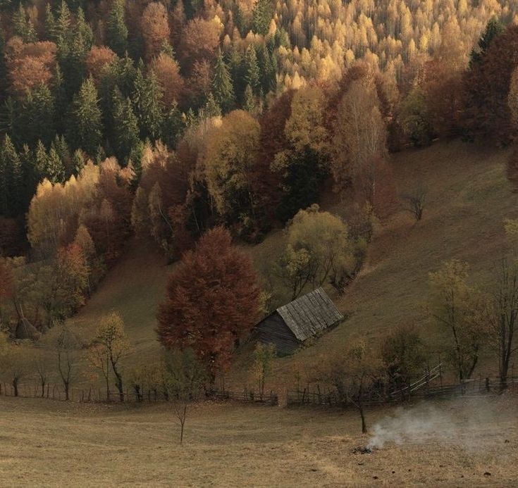 softdeIicacy's tweet photo. autumn is my favorite color. https://t.co/1zgnxbxVfg